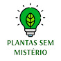 Plantas Sem Mistério Andrew Fogtman