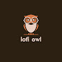 lofi owl