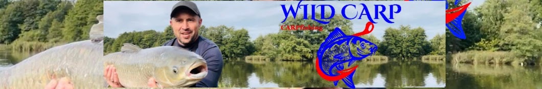 WILD CARP  Carpfishing 