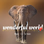 Wonderful world