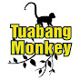 Tuabang Monkey