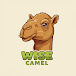 Wise Camel