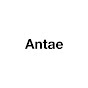 안태 Antae