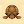 thetortoisewhisperer avatar