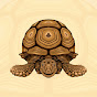 The Tortoise Whisperer youtube avatar