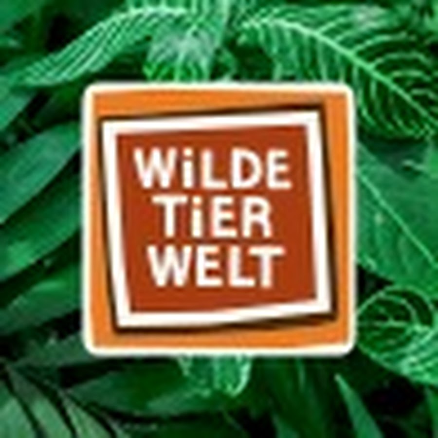 Wilde Tierwelt @WildeTierwelt