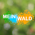 Mein Wald