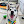 sapphie_the_pomsky avatar