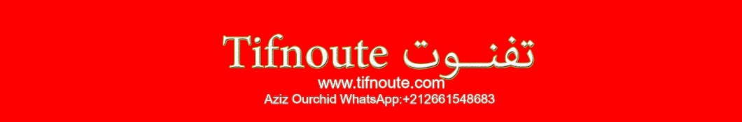 Tifnout TV تفنوت