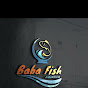 Baba fish aquarium Kota