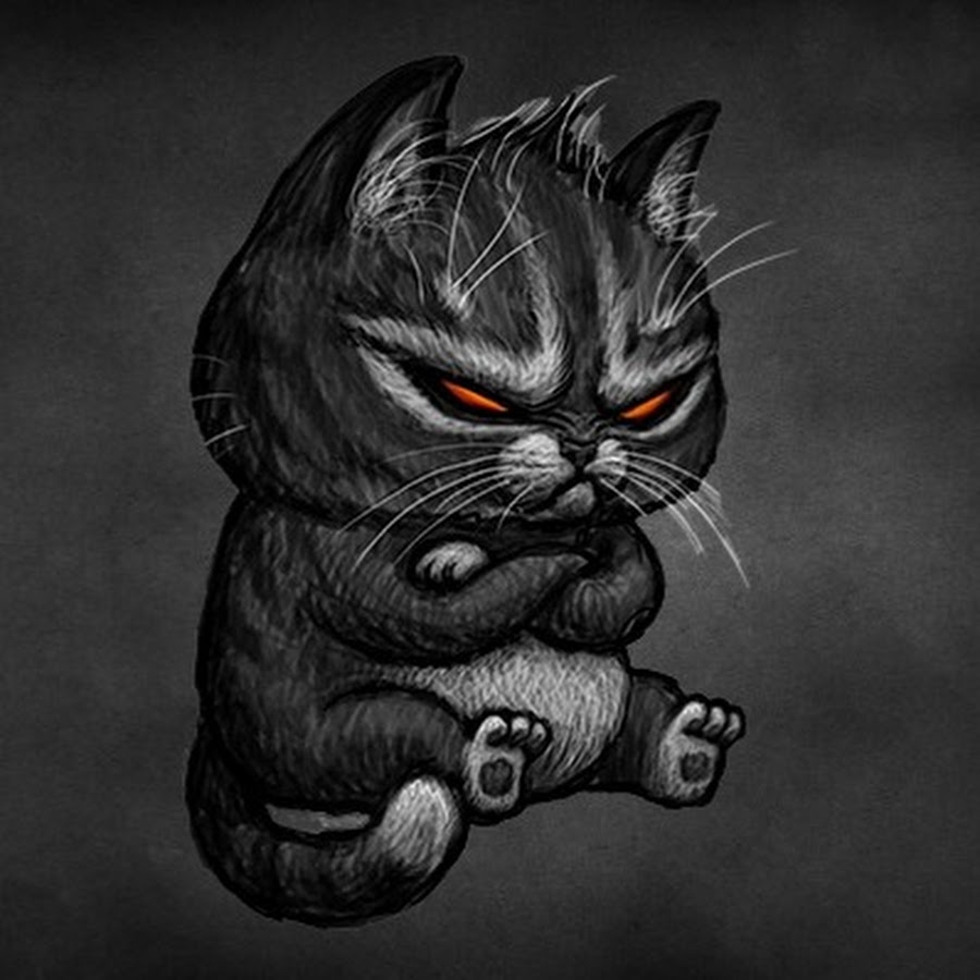 Angry cat steam фото 10