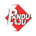 logo Pandu Laju