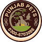 Punjab Pets