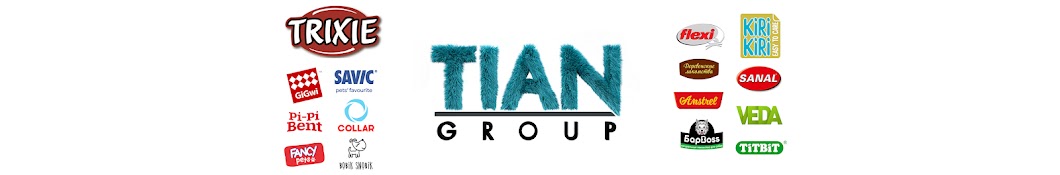 TIAN GROUP