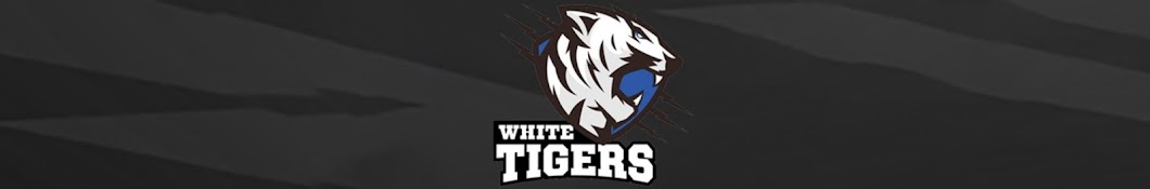 White Tigers E-Sport FO4 Banner