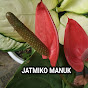 JATMIKO MANUK