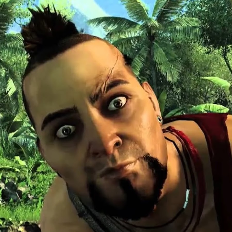 Ваас Монтенегро. Ваас Монтенегро безумие. Far Cry 6 Ваас. Far Cry 3.