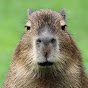 Krazy Capybara FN