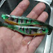 Five-0 Custom Baits