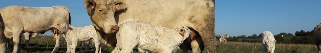 ferme de Cédric & Flavie