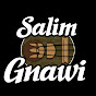 salim gnawi