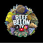 reef belon TV