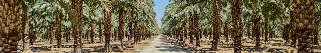 AbuAyyash Farms