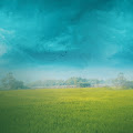 Artist Thumbnail