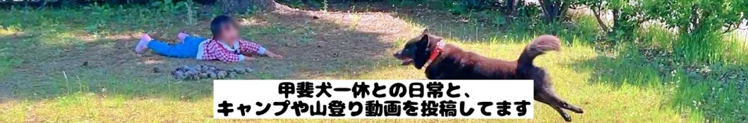 甲斐犬一休と猫のしずくと僕のチャンネル