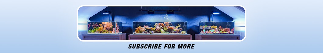 Danny's Aquariums Banner