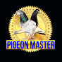 Pigeon Master