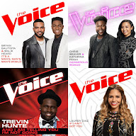 The Voice