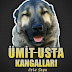 KANGAL ÜMİT USTA