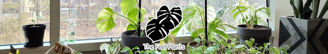 The Feel Plants