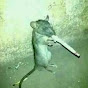 Da smokin' Rat