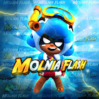 Molnia Flash