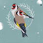 Goldfinch