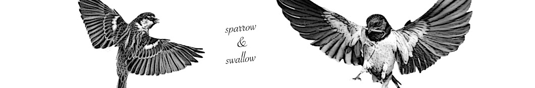 sparrow & swallow