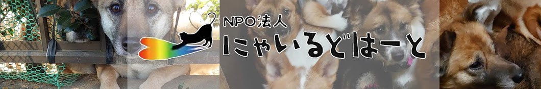 【Nyairudo heart】Animal rescue 【cat and dog】