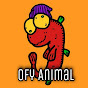 ofy Animal