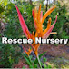 Full Moon Rescue Nursery