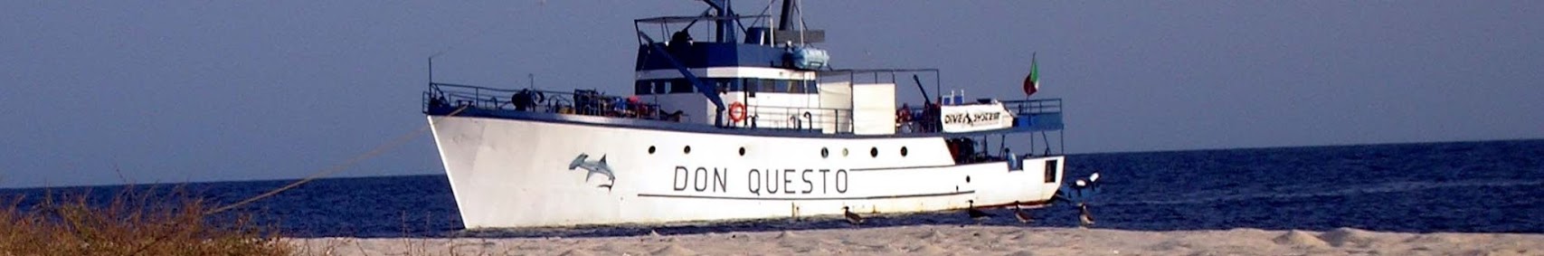 donquestosudandiving