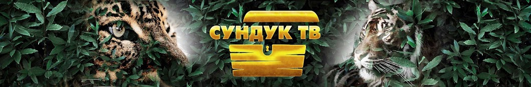 СУНДУК ТВ