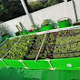 Rooftop Farming