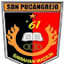 SDN PUCANGREJO SAWAHAN