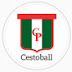 Cestoball Parque