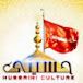 Hussaini Culture