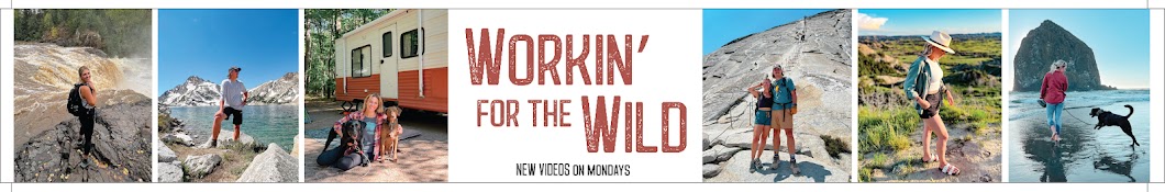 Workin' for the Wild