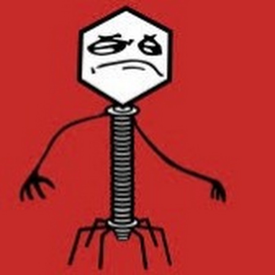 bacteriophage-youtube