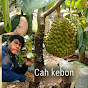 Jaya kebun organik